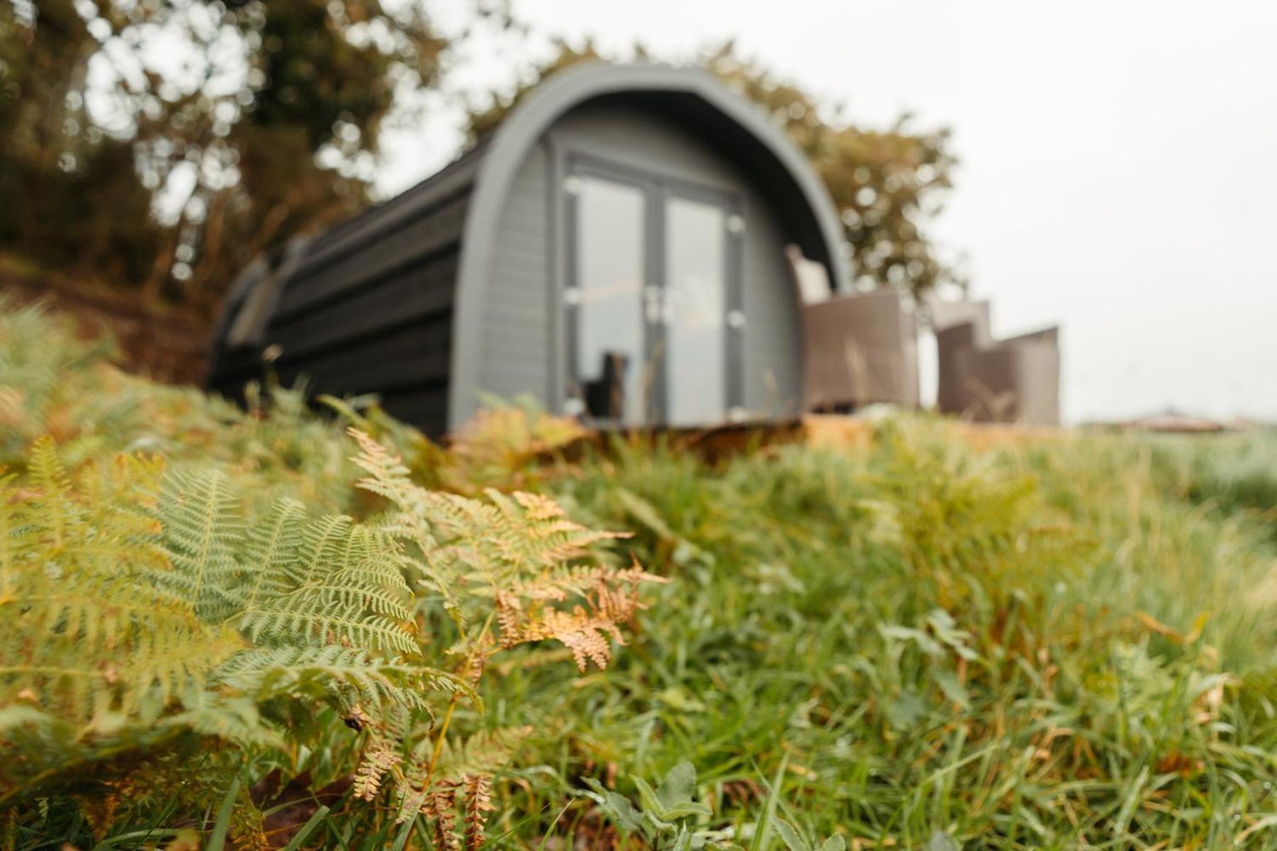 Cefn Crib Cabins Machynlleth Eksteriør bilde